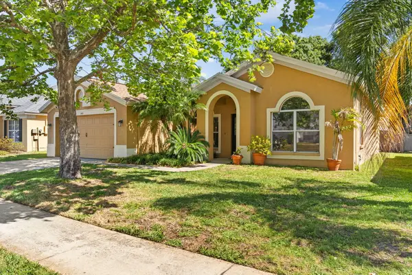 545 Tuscanny Street, Brandon, FL 33510