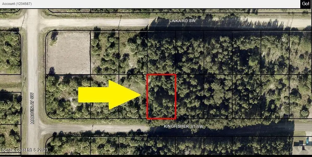 771 Kingfisher Street Sw, Palm Bay, FL 32908 - #1