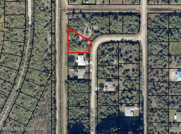 2828 Sage Avenue Sw, Palm Bay, FL 32908 - #2