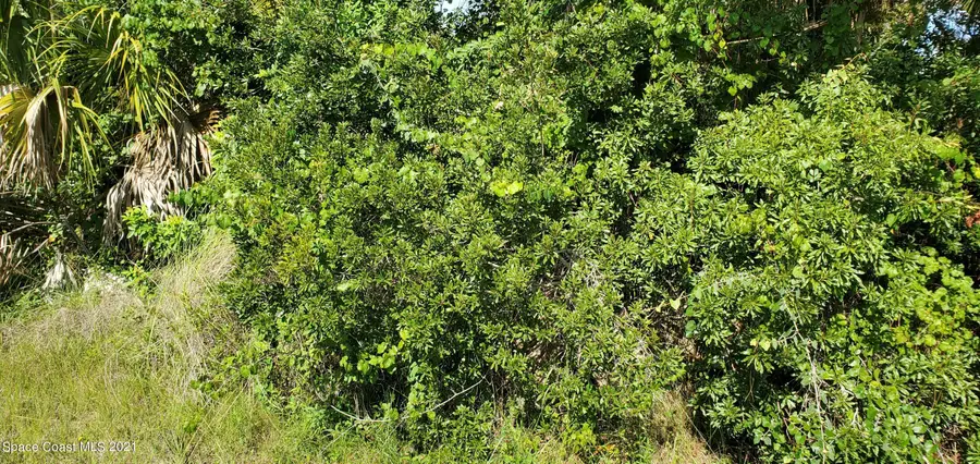 3330 Freedom Avenue Sw, Palm Bay, FL 32908 - #2