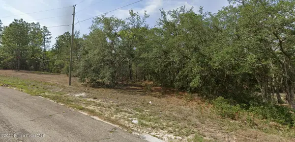 6940 N Lime Drive, Dunnellon, FL 34433