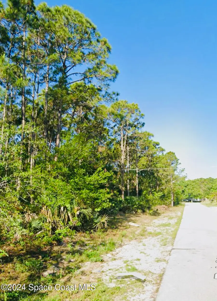 462 Sayre Road Sw, Palm Bay, FL 32908 - #3