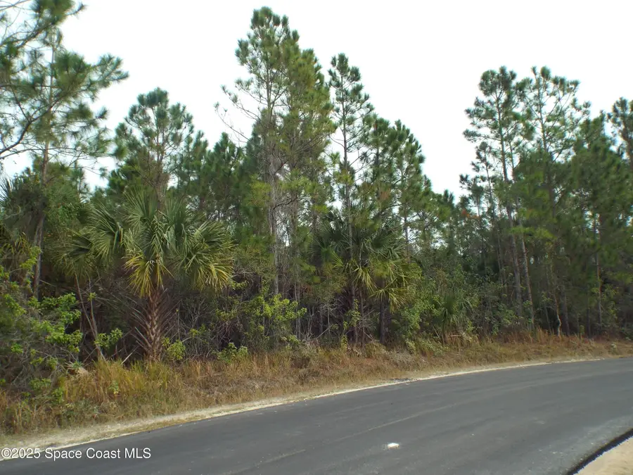 401 SW Lamon Street Sw, Palm Bay, FL 32908 - #3