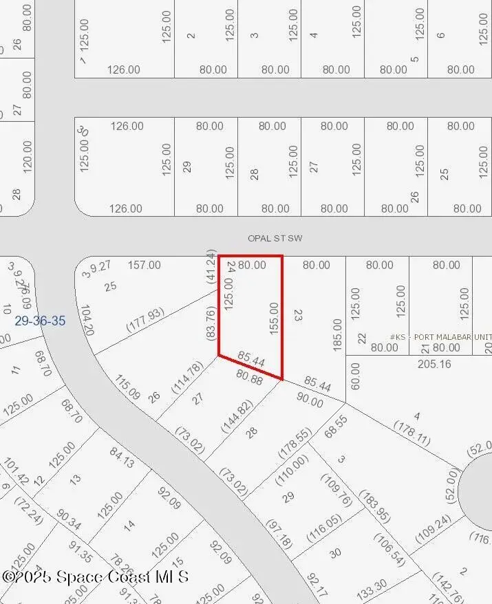 768 Opal Street Sw, Palm Bay, FL 32908 - #2