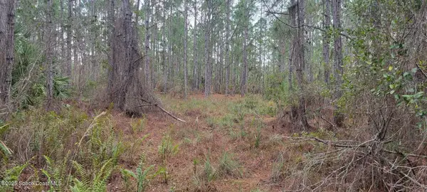 0 East Of Whynot Drive, Palm Bay, FL 32909