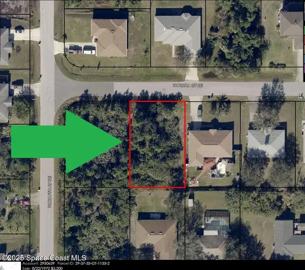 1306 Tordira Street Se, Palm Bay, FL 32909