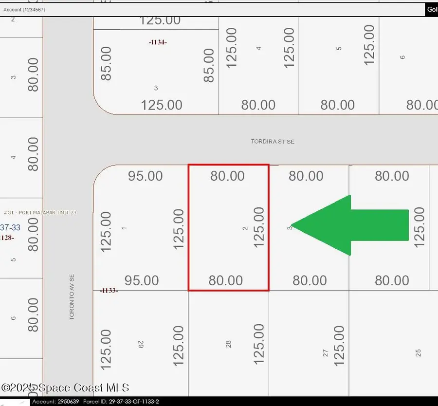 1306 Tordira Street Se, Palm Bay, FL 32909 - Image #3