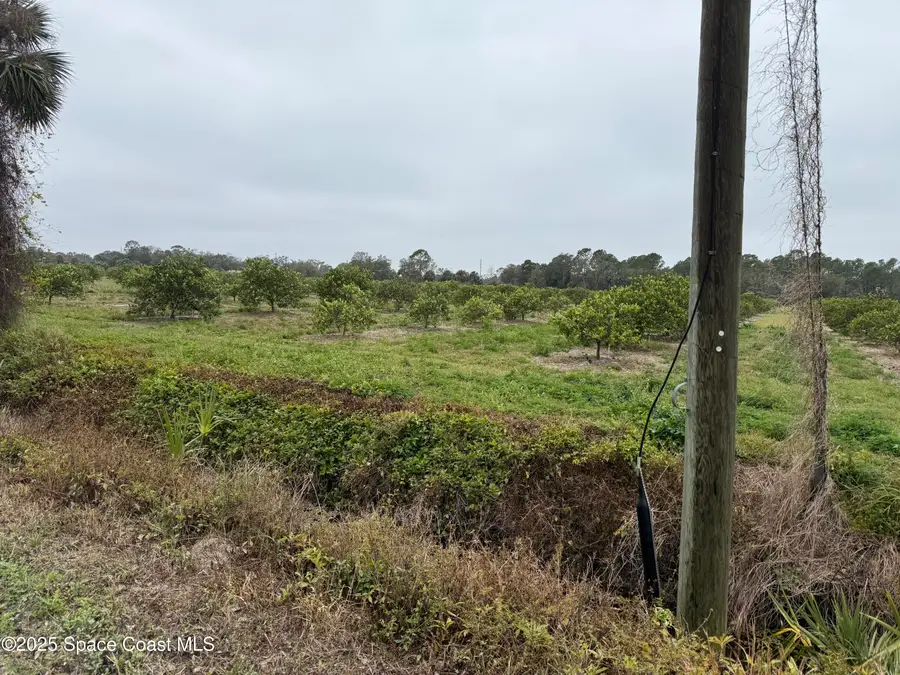 000 Mangrove Street, Mims, FL 32754 - Image #3