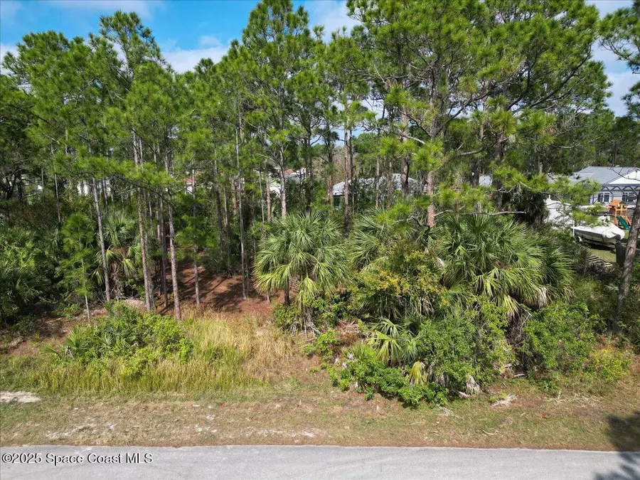 381 Scodella Street Sw, Palm Bay, FL 32908 - #3