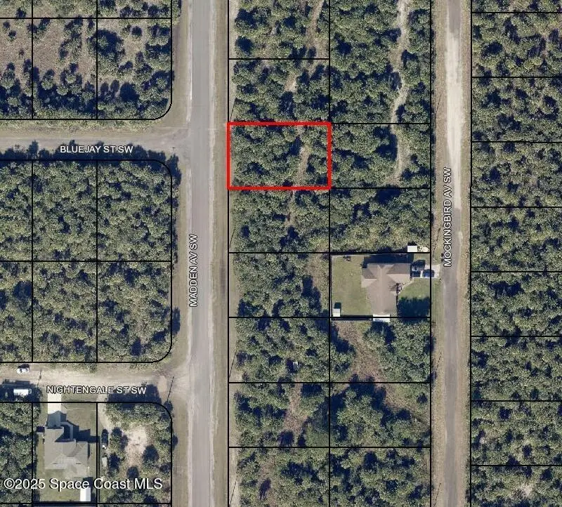 3313 Madden Avenue Sw, Palm Bay, FL 32908 - #1