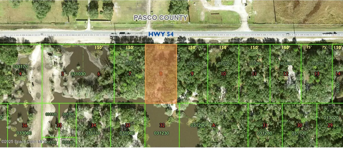 0 Hwy 54, Polk City, FL 33868 - Image #1