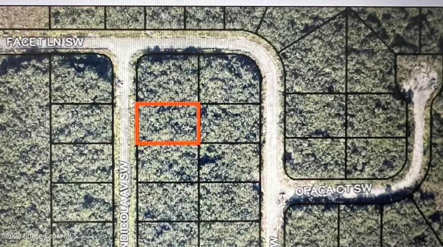 1911 Andicola Avenue Sw, Palm Bay, FL 32908 - Image #3