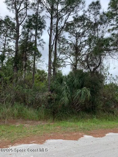 1158 Satin Road Sw, Palm Bay, FL 32908 - #2