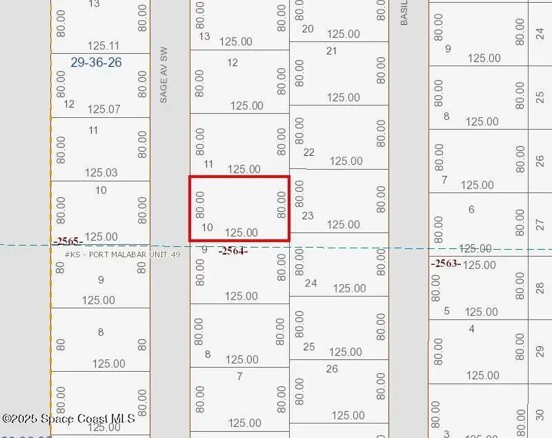 2843 Sage Avenue Sw, Palm Bay, FL 32908 - #2