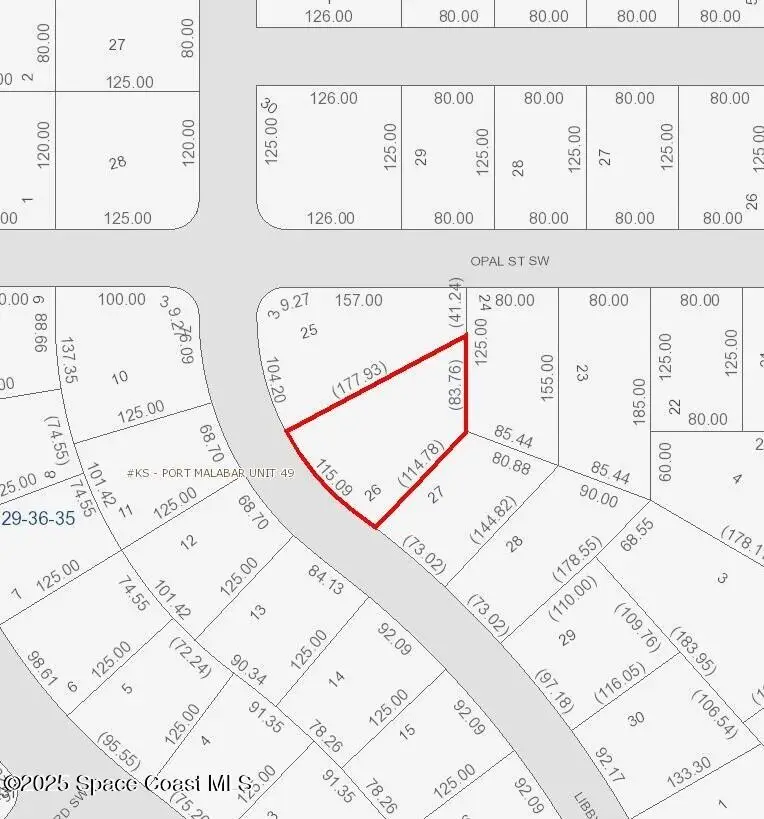 3041 Libby Avenue Sw, Palm Bay, FL 32908 - #2