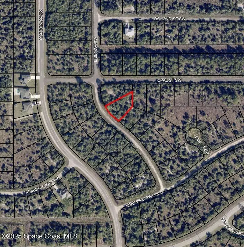 3041 Libby Avenue Sw, Palm Bay, FL 32908 - #3
