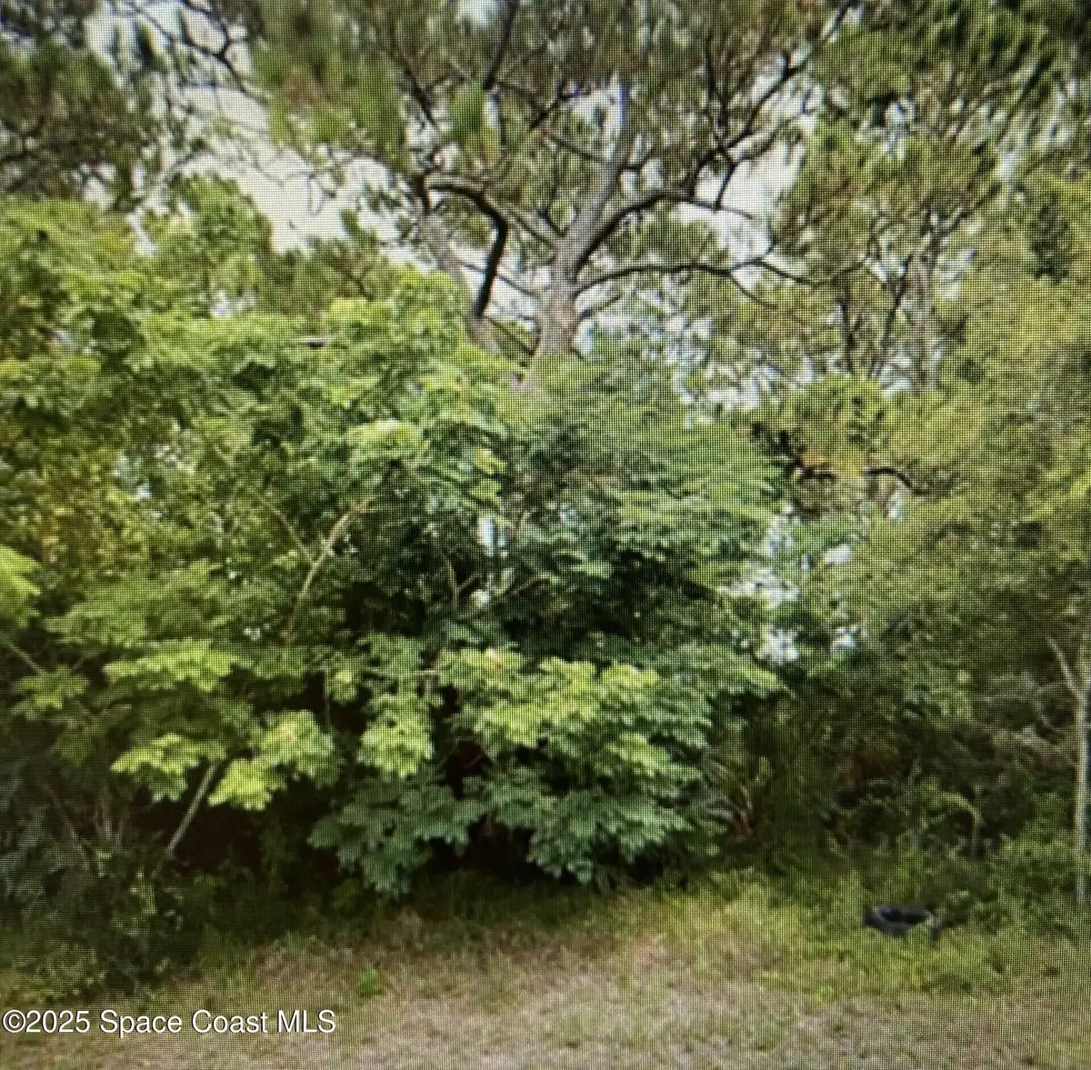 889 Helm Avenue Nw, Palm Bay, FL 32907 - #1