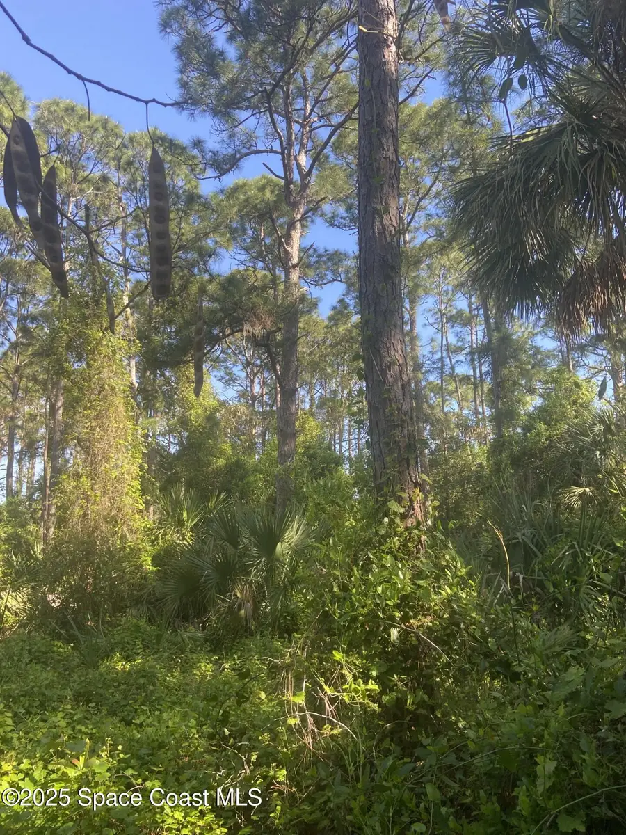 889 Helm Avenue Nw, Palm Bay, FL 32907 - #2