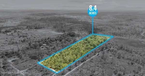0 Palm Frond Road, St. Cloud, FL 34773