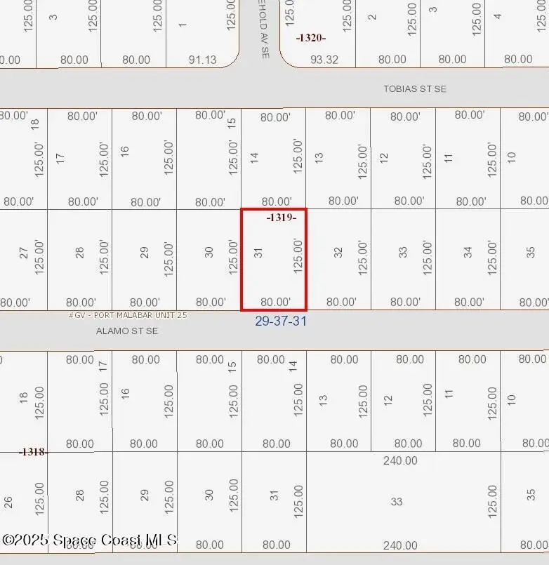 407 Alamo Street Se, Palm Bay, FL 32909 - #2