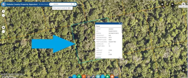 0000 No Street Access, Oak Hill, FL 32759