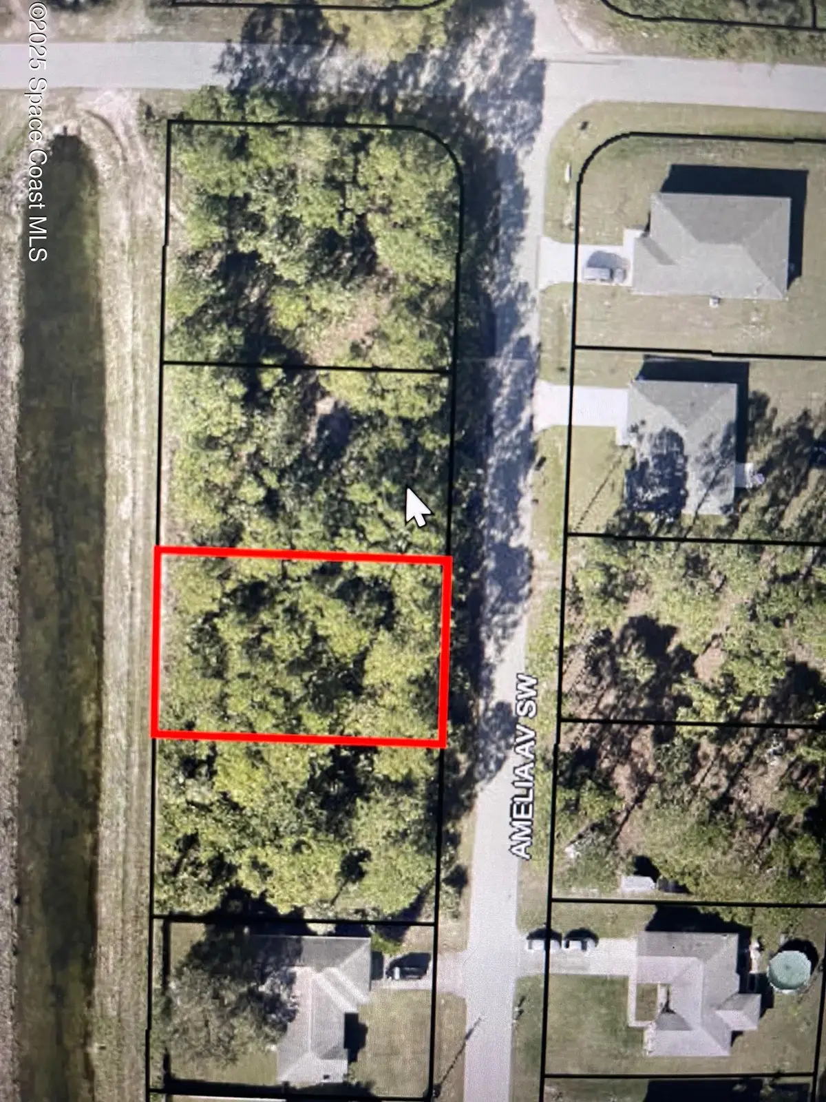 1322 Amelia Avenue Sw, Palm Bay, FL 32908 - #1