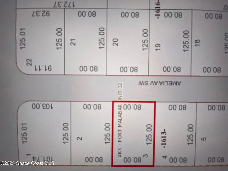 1322 Amelia Avenue Sw, Palm Bay, FL 32908 - #3