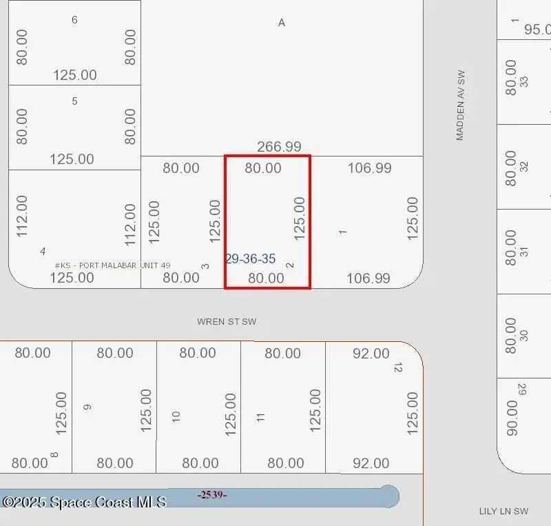 815 Wren Street Sw, Palm Bay, FL 32908 - #2