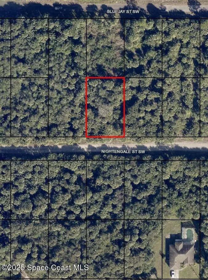 847 Nightengale Street Sw, Palm Bay, FL 32908 - Image #1