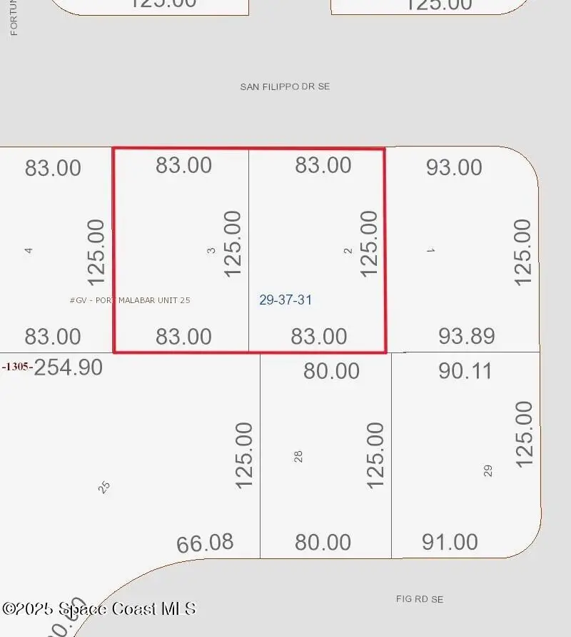 2985 2991 San Filippo (2 Lots) Drive Se, Palm Bay, FL 32909 - #2