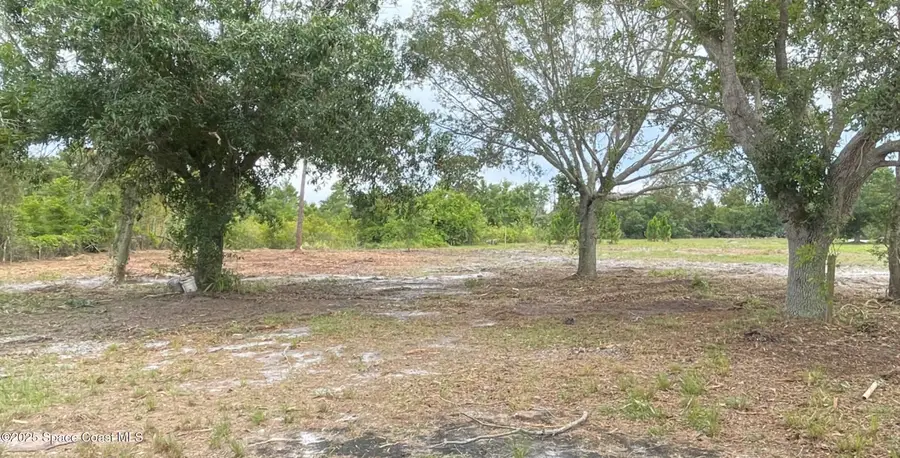 4660 Mount Pleasant Avenue, Grant, FL 32949 - Image #2