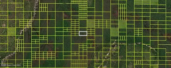 14110020 Holopaw Groves Road, St. Cloud, FL 34773