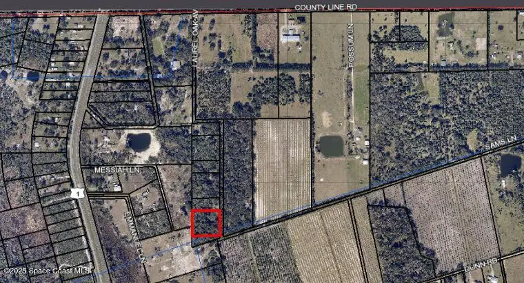 0000 Laurel Oak Avenue, Mims, FL 32754 - Image #2