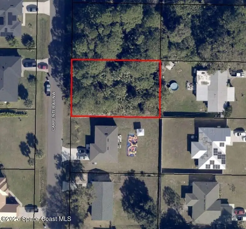 419 Carpenter Avenue Nw, Palm Bay, FL 32907 - #1