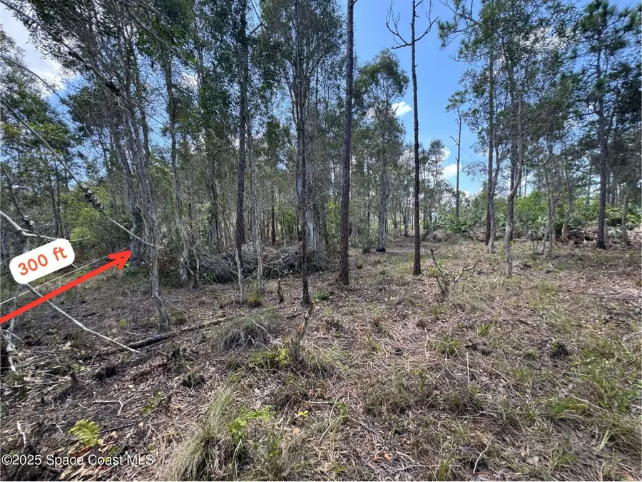 3301 SW Unknown Avenue, Gloucester, FL 32908 - Image #3