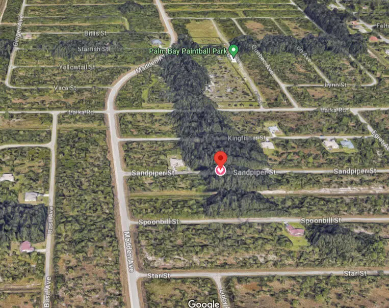 770 Sandpiper Street, Palm Bay, FL 32908 - Image #3