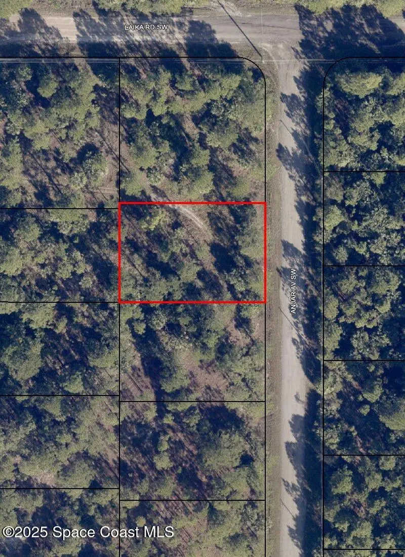 2814 Anjar Avenue Sw, Palm Bay, FL 32908 - #1