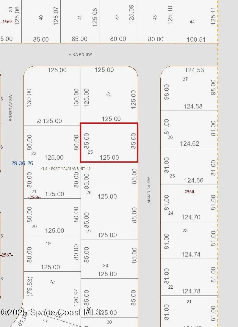 2814 Anjar Avenue Sw, Palm Bay, FL 32908 - #2