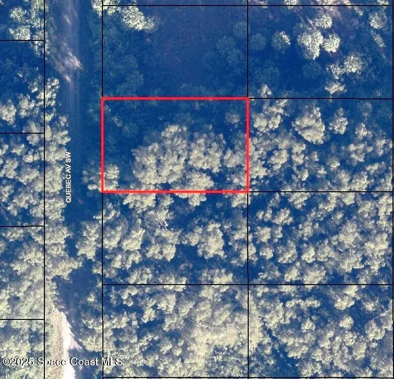 2675 Quebec Avenue Sw, Palm Bay, FL 32908 - #1