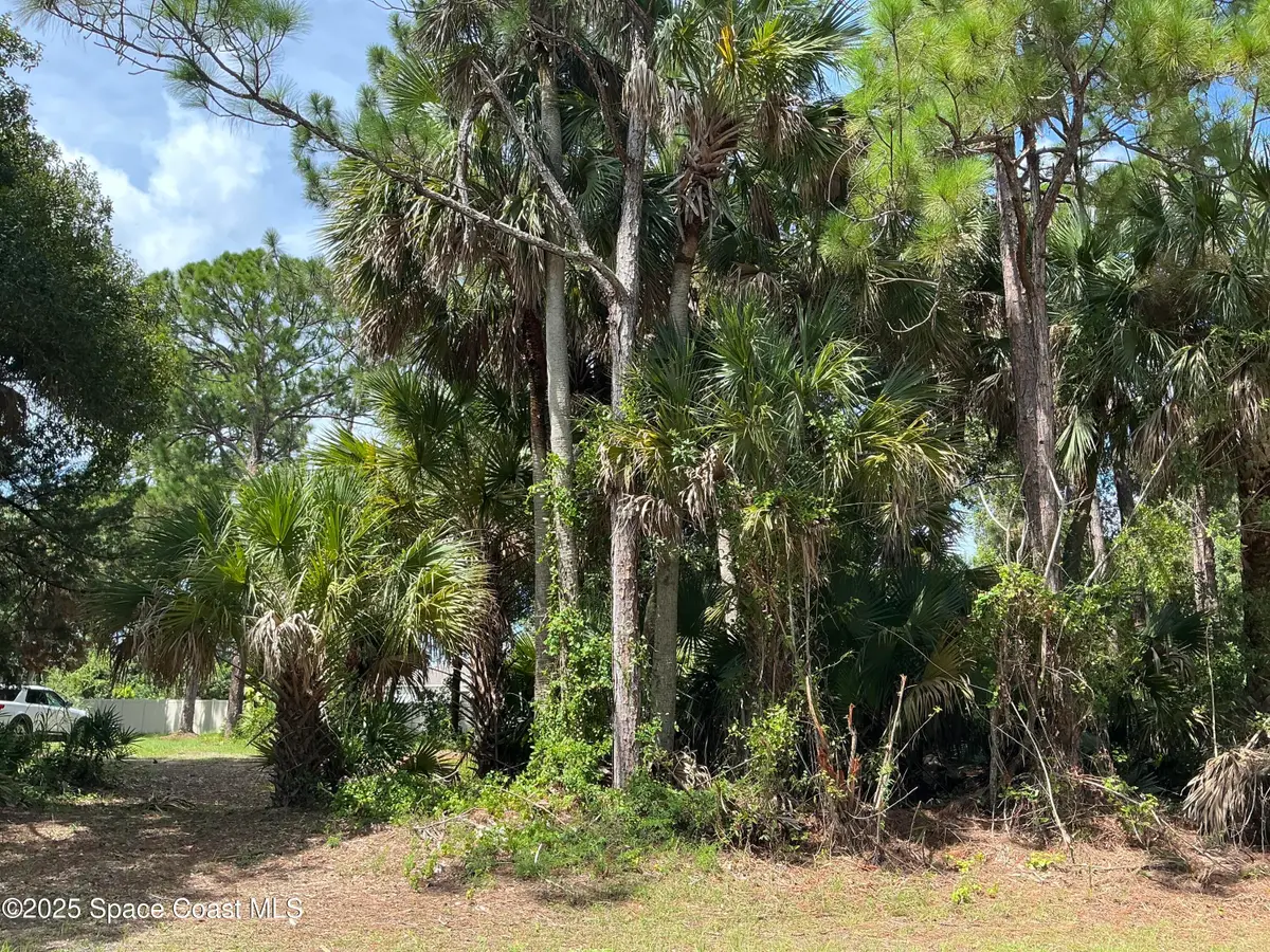 3270 Topsey Avenue Se, Palm Bay, FL 32909 - #1