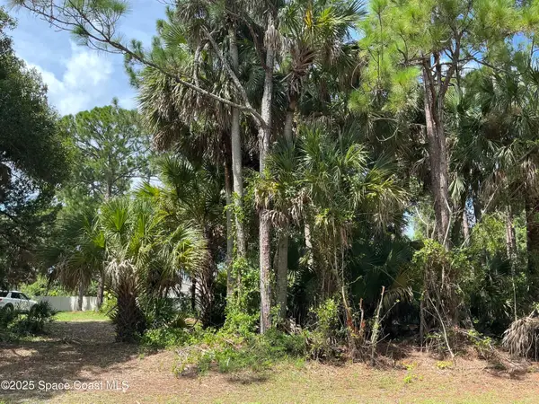 3270 Topsey Avenue Se, Palm Bay, FL 32909