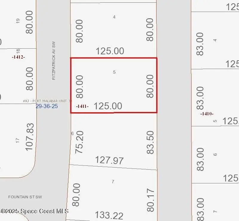 2837 Fitzpatrick Avenue Sw, Palm Bay, FL 32908 - #2