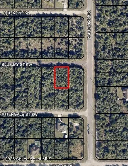 814 Bluejay Street Sw, Palm Bay, FL 32908 - Image #1