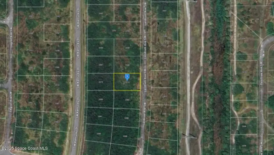 2374 Landrum Avenue Sw, Palm Bay, FL 32908 - Image #2