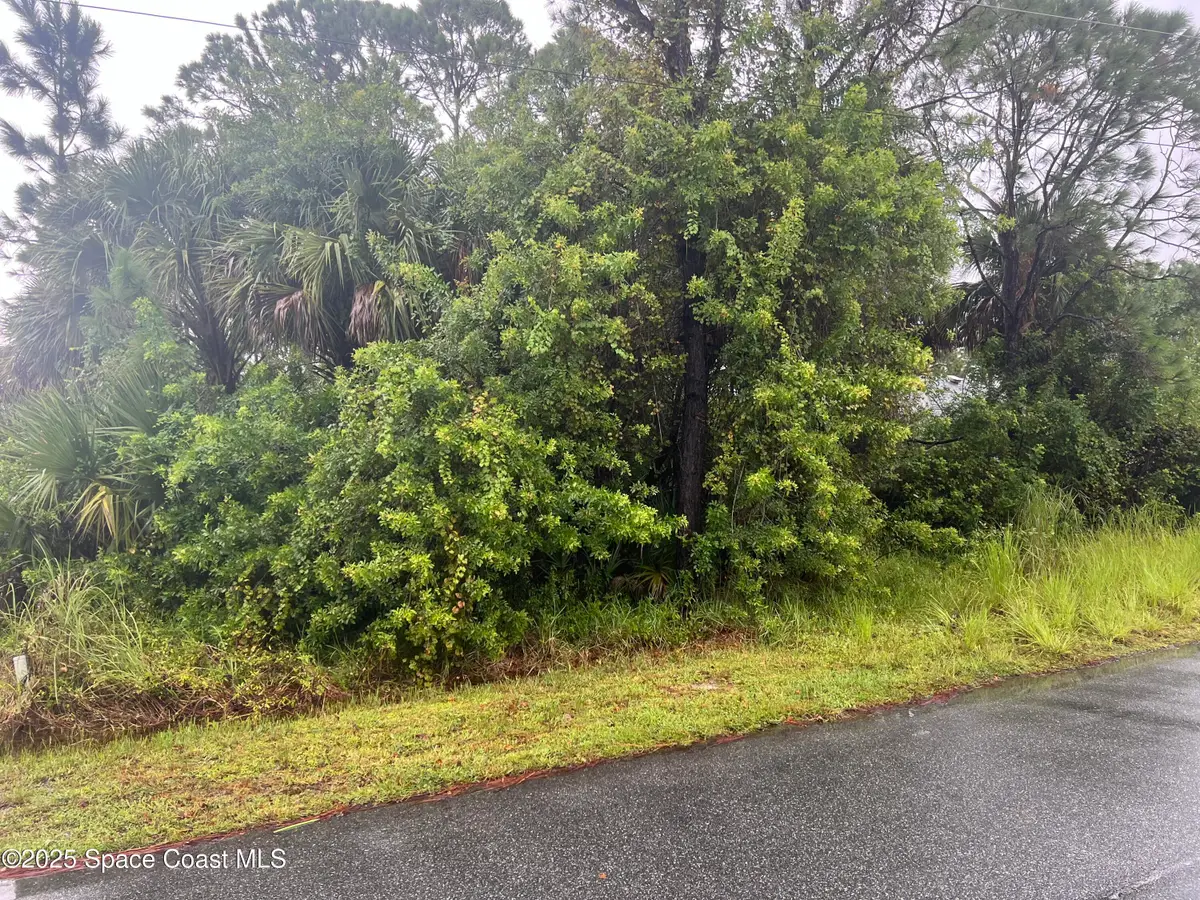 149 Feldman Street Se, Palm Bay, FL 32909 - Image #1