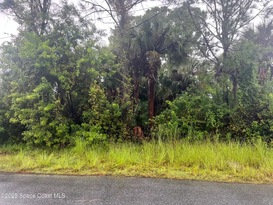 149 Feldman Street Se, Palm Bay, FL 32909 - Image #3