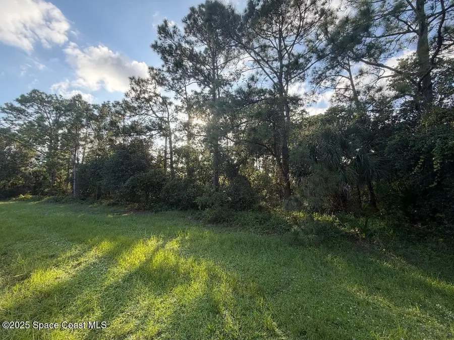 3900 Rambling Acres Drive, Titusville, FL 32796 - Image #2