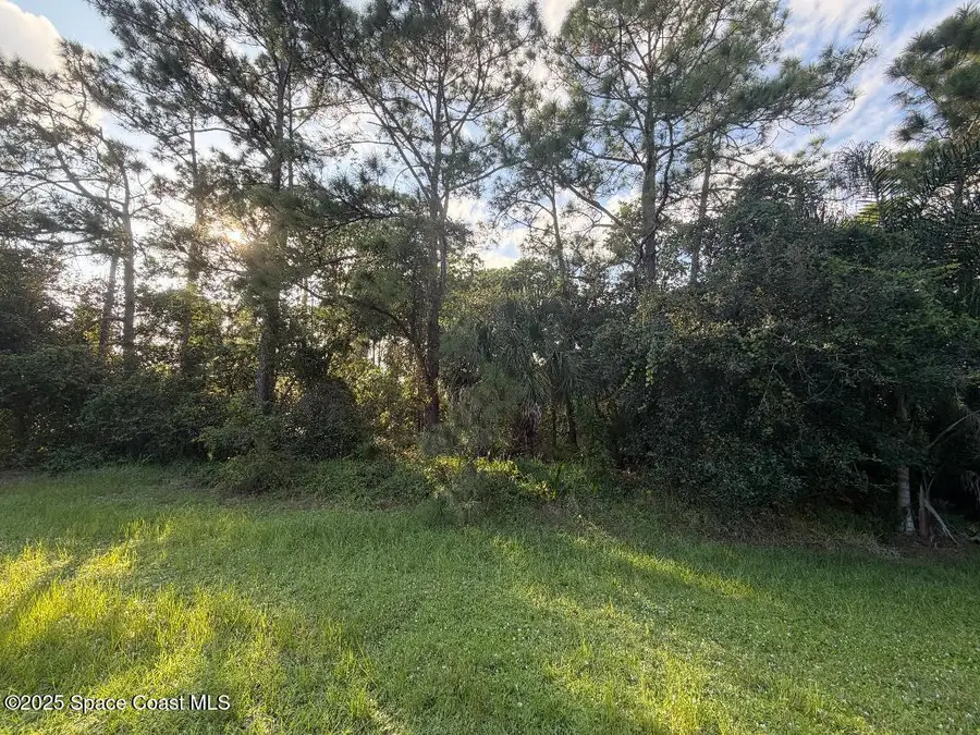 3900 Rambling Acres Drive, Titusville, FL 32796 - Image #3