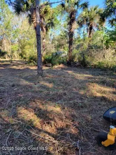 00 Olkowski Avenue, Cocoa, FL 32926 - Image #3