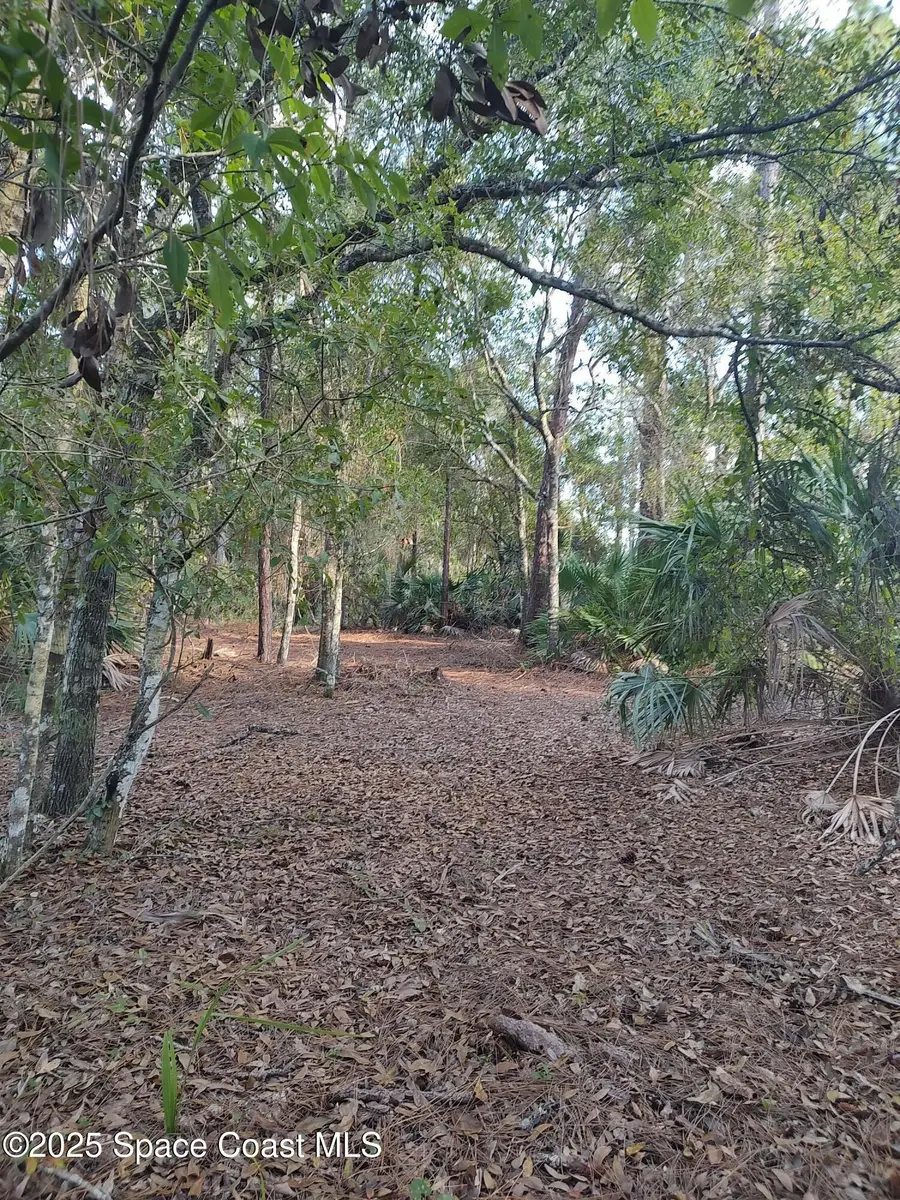 0 Magnolia Road, Malabar, FL 32950 - Image #3